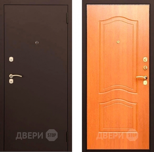 Входная металлическая Сейф-дверь Аргус ДА-2 в Черноголовке