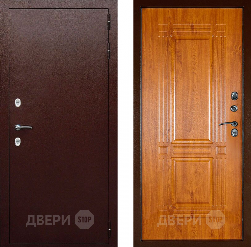 Дверь Аргус Тепло-1 в Черноголовке
