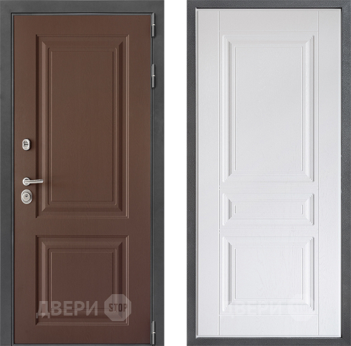 Входная металлическая Дверь Дверной континент ДК-3/729 ФЛ-243 Альберо Браш серебро в Черноголовке