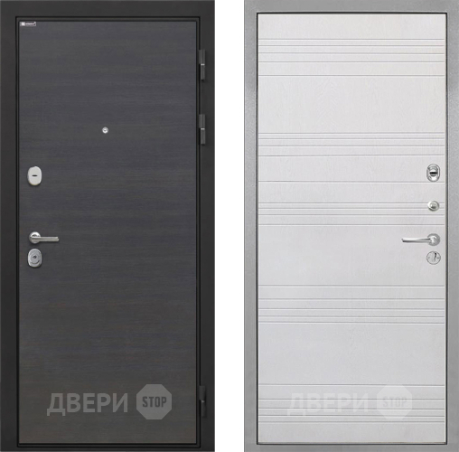 Входная металлическая Дверь Интекрон (INTECRON) Гектор Эковенге ФЛ-316 Белый ясень в Черноголовке