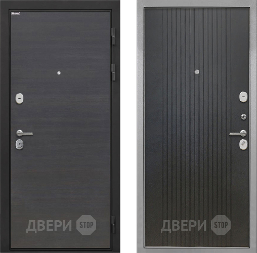 Входная металлическая Дверь Интекрон (INTECRON) Гектор Эковенге ФЛ-295 Лофт черный в Черноголовке