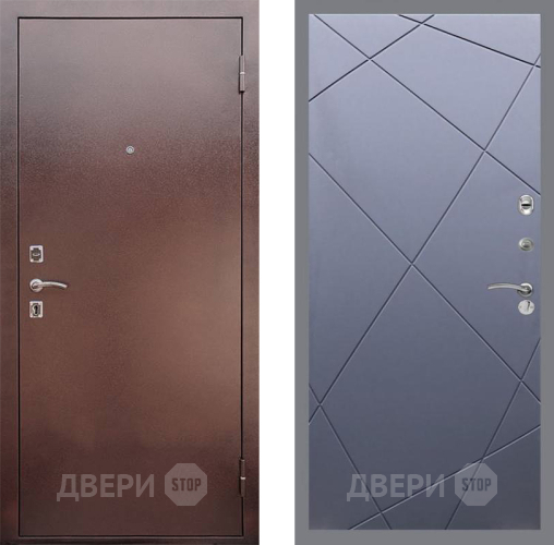 Входная металлическая Дверь Рекс (REX) 1 FL-291 Силк титан в Черноголовке