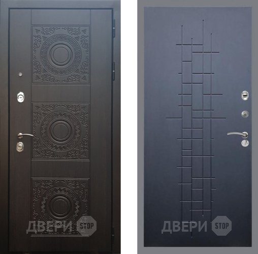 Входная металлическая Дверь Рекс (REX) 10 FL-289 Ясень черный в Черноголовке