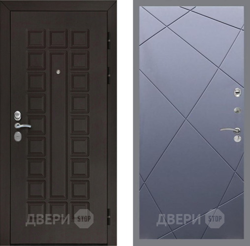 Входная металлическая Дверь Рекс (REX) Сенатор Cisa FL-291 Силк титан в Черноголовке